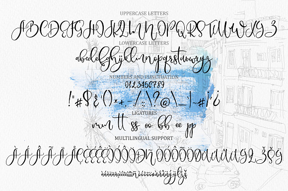 Font Bundle Sale+illustrations,logos in Script Fonts - product preview 26