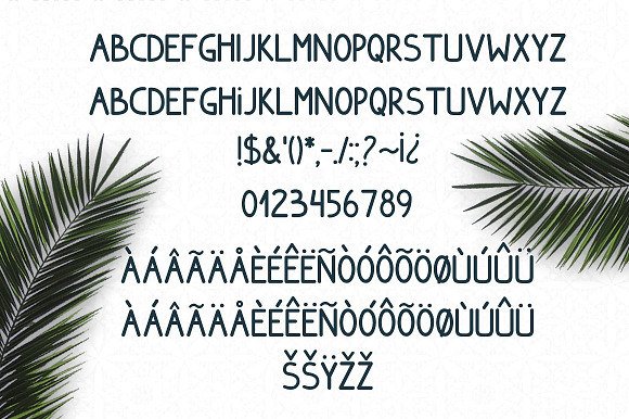 Font Bundle Sale+illustrations,logos in Script Fonts - product preview 79