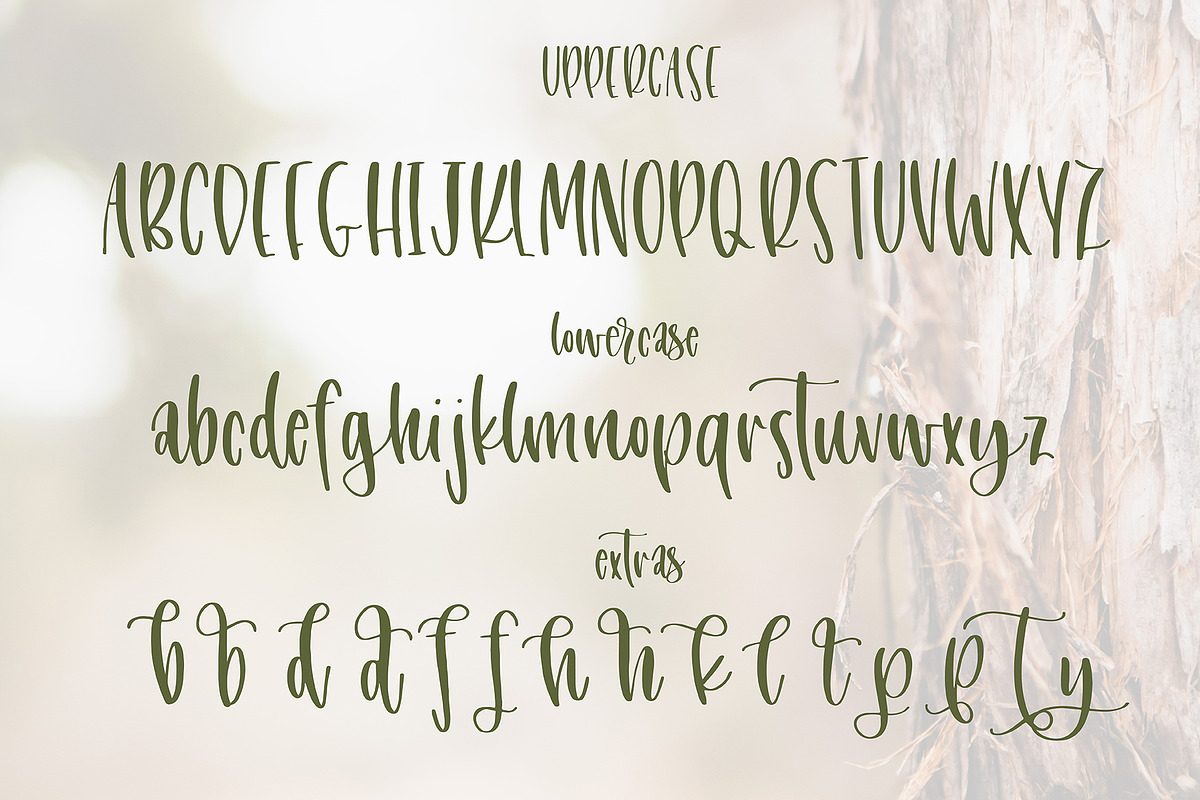 Juniper + Ivy Font Duo in Display Fonts - product preview 8