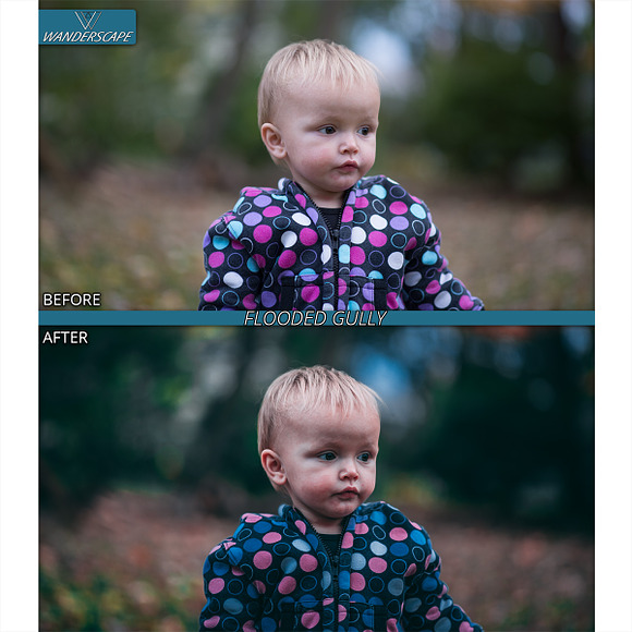 WANDERSCAPE LUT PACK in Photoshop Layer Styles - product preview 4