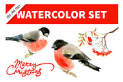 Watercolor Bullfinch & Ashberry Set