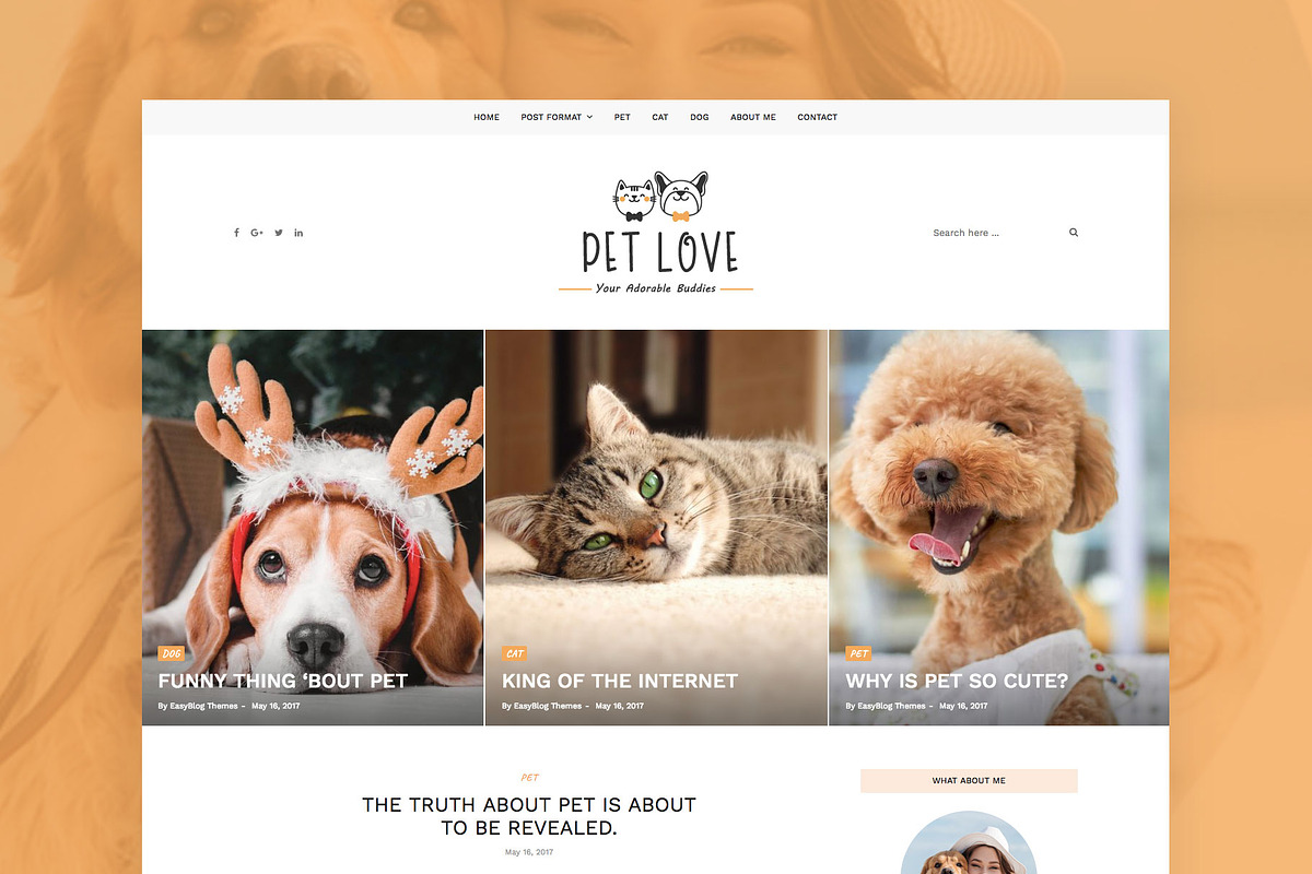 Pet Love - Animal WordPress Theme in WordPress Blog Themes - product preview 8