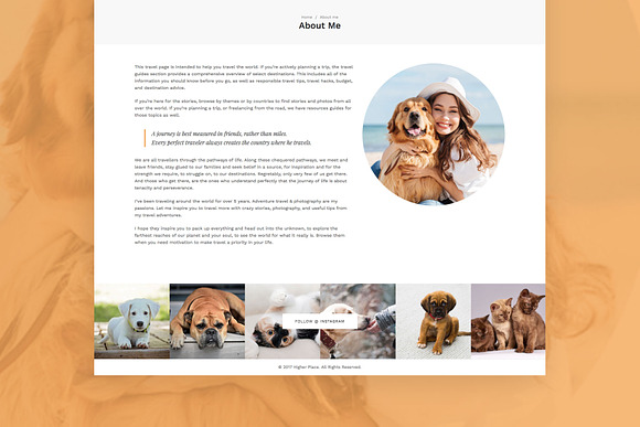 Pet Love - Animal WordPress Theme in WordPress Blog Themes - product preview 4
