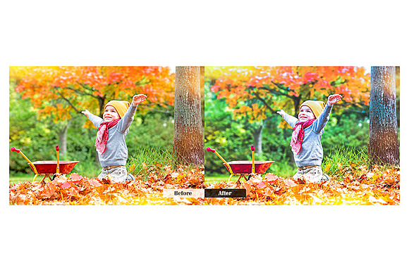 Autumn Lightroom Presets in Add-Ons - product preview 1