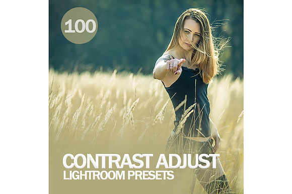 Contrast Adjust Lightroom Presets in Add-Ons - product preview 1