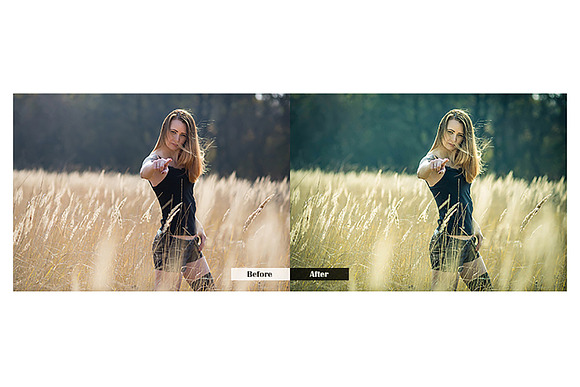 Contrast Adjust Lightroom Presets in Add-Ons - product preview 3