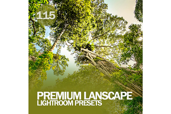 Premium Lanscape Lightroom Presets in Add-Ons - product preview 1