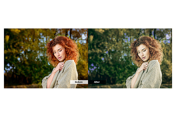 Premium Lightroom Presets in Add-Ons - product preview 2