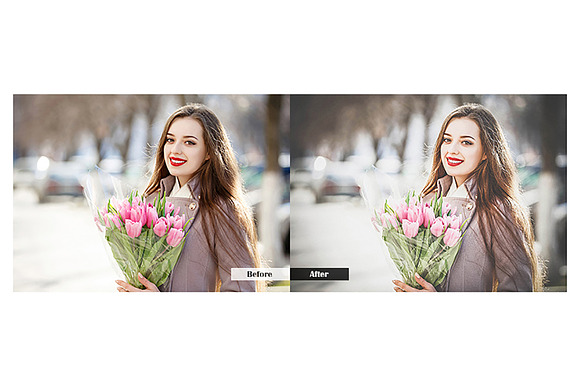 SoftLight Lightroom Presets in Add-Ons - product preview 2