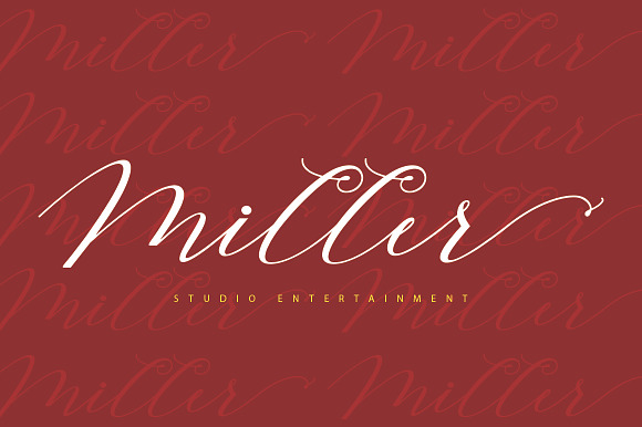 Beloved Script in Script Fonts - product preview 4