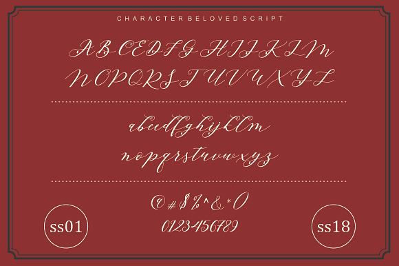 Beloved Script in Script Fonts - product preview 10