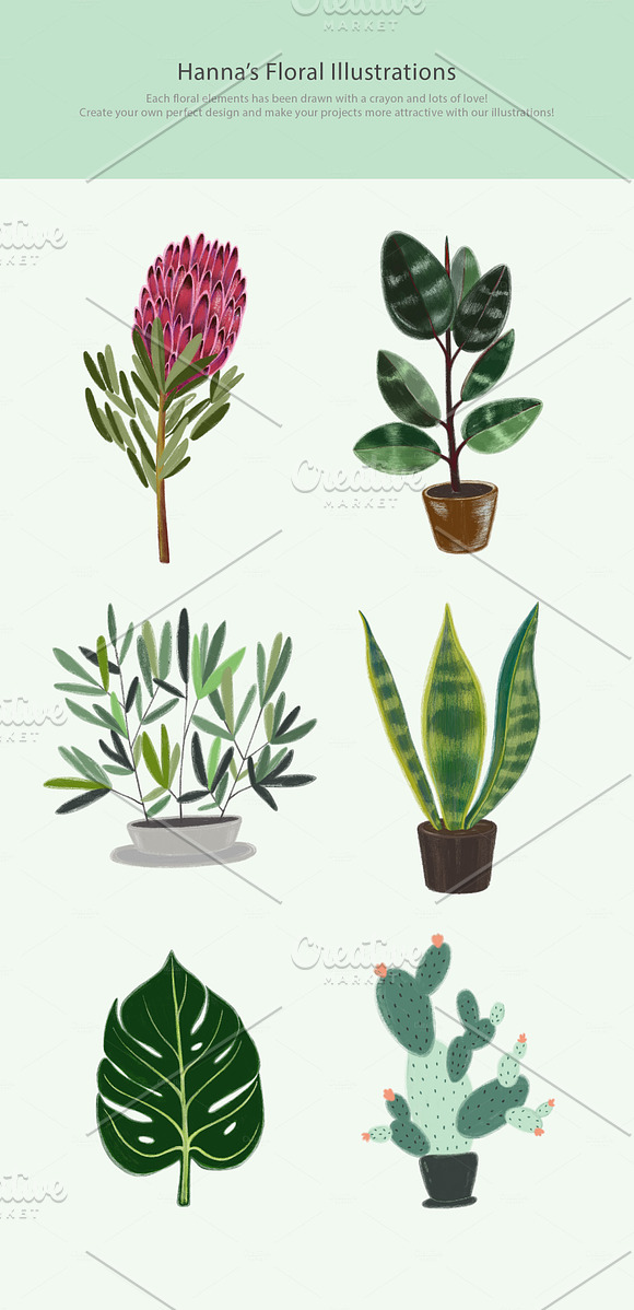 FLORA DESIGN in Illustrations - product preview 2