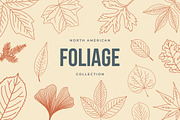 North American Foliage Collection