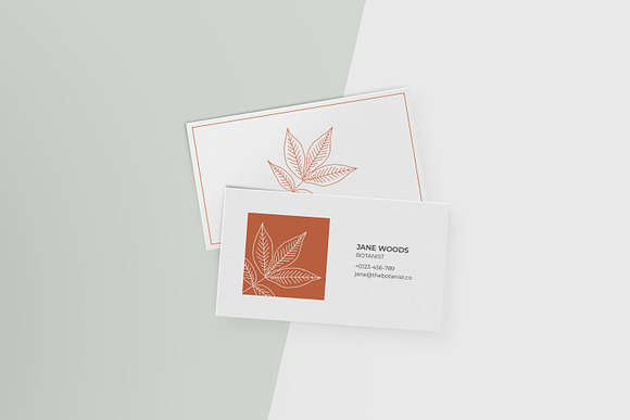 North American Foliage Collection in Illustrations - product preview 1