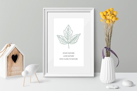 North American Foliage Collection in Illustrations - product preview 4