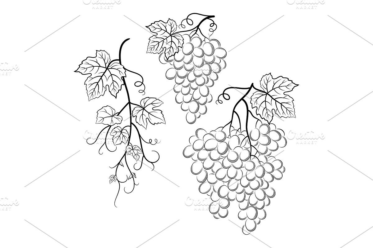 Grapes Black Pictograms in Illustrations - product preview 8