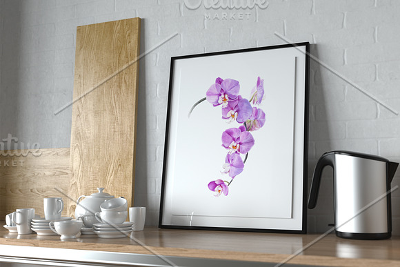 Botanical illustration Orchid in Illustrations - product preview 1