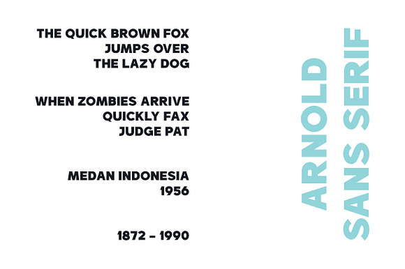 Arnold Script in Fancy Fonts - product preview 7