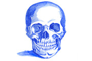 Painted Skull