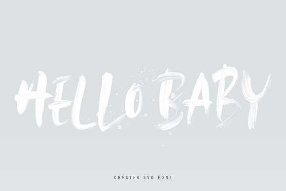 Chester SVG Font in Display Fonts - product preview 7