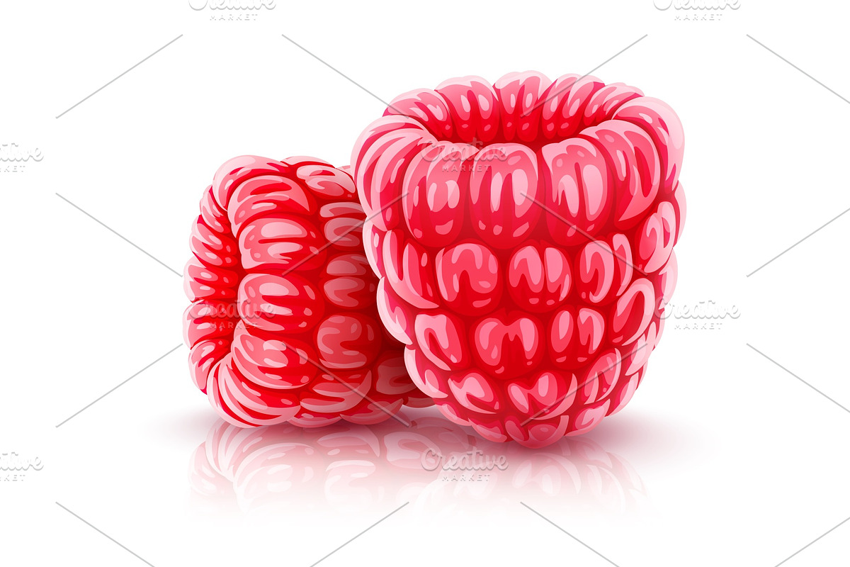 Raspberry berries in Illustrations - product preview 8