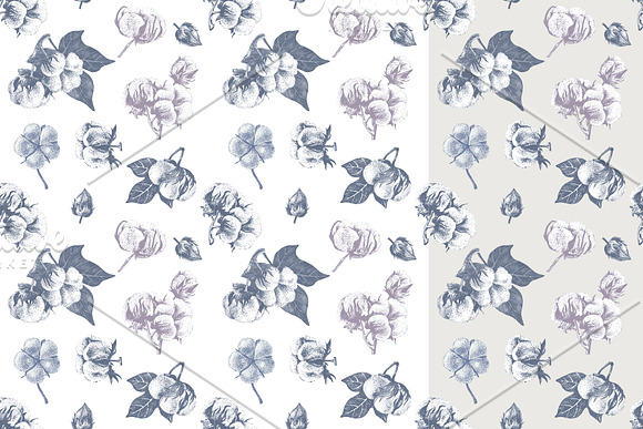 Cotton set in Illustrations - product preview 6