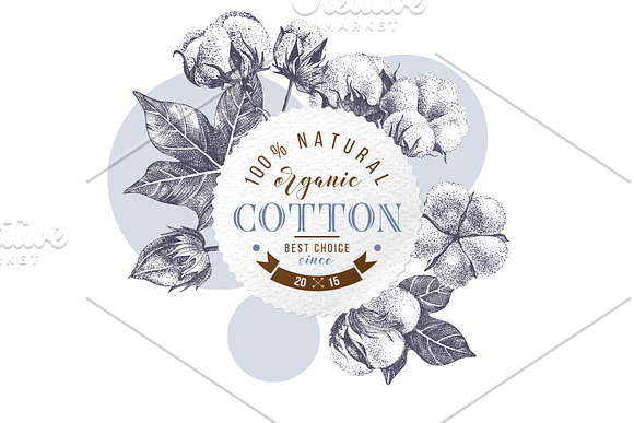 Cotton set in Illustrations - product preview 7