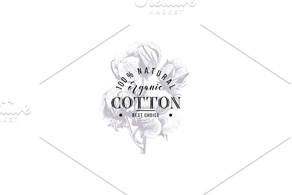 Cotton set in Illustrations - product preview 9