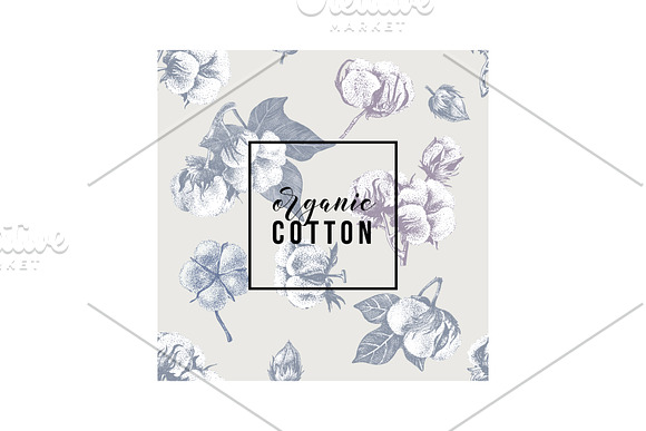 Cotton set in Illustrations - product preview 10