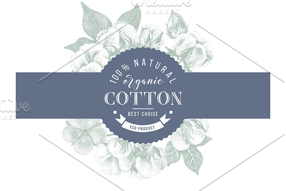 Cotton set in Illustrations - product preview 13