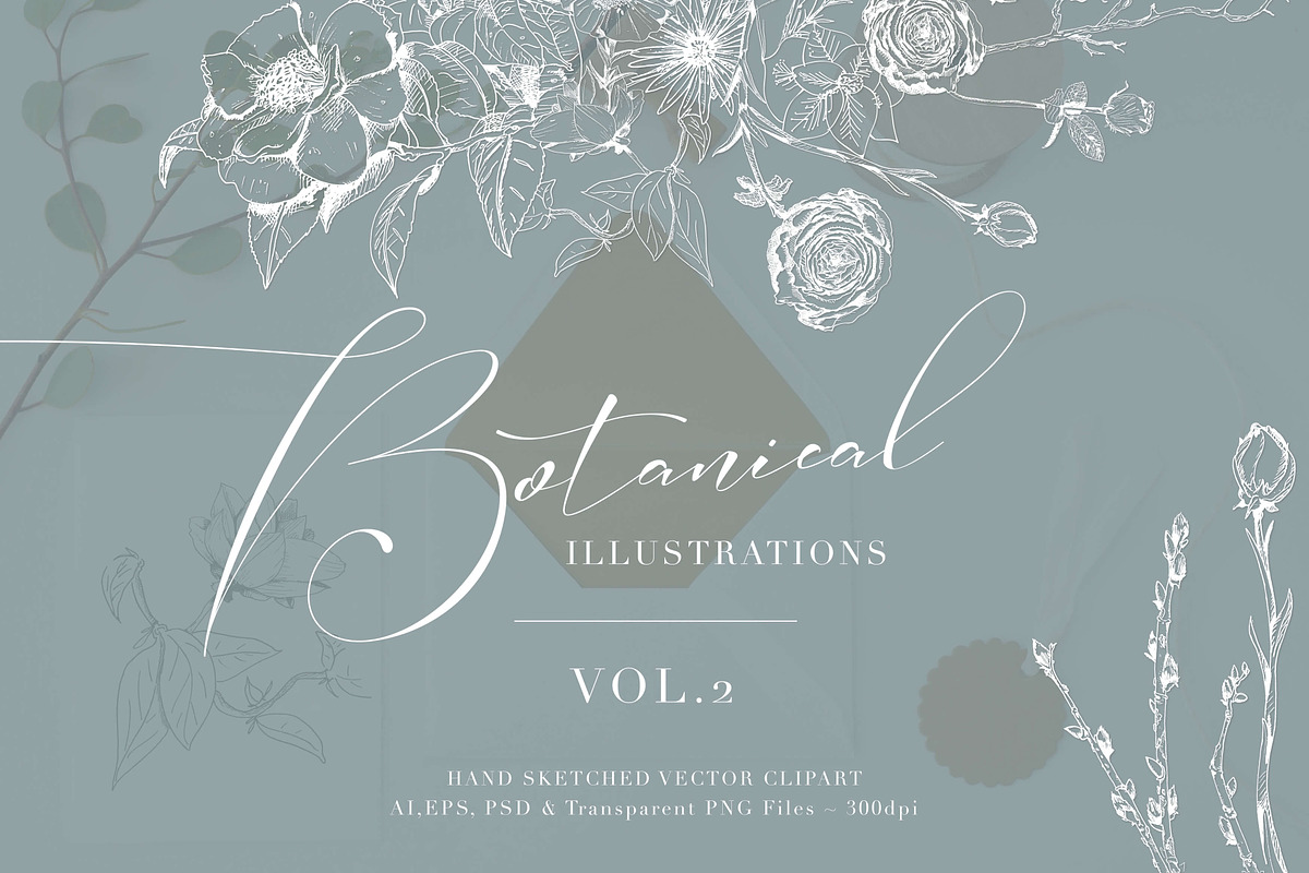 Botanical Illustrations Vol.2 in Illustrations - product preview 8