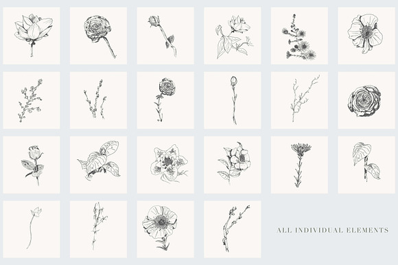 Botanical Illustrations Vol.2 in Illustrations - product preview 1