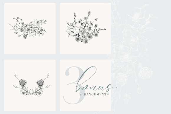 Botanical Illustrations Vol.2 in Illustrations - product preview 3