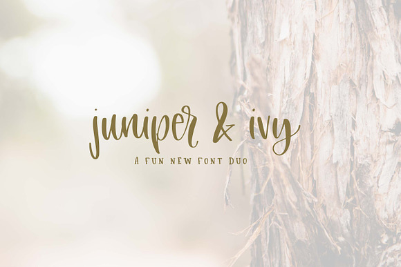 Juniper + Ivy Font Duo in Display Fonts - product preview 2