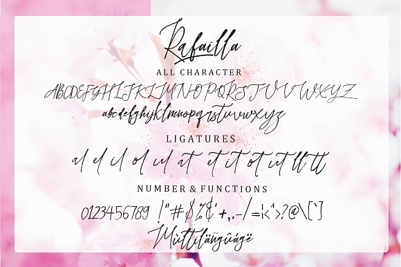 Rafailla Brush in Script Fonts - product preview 9