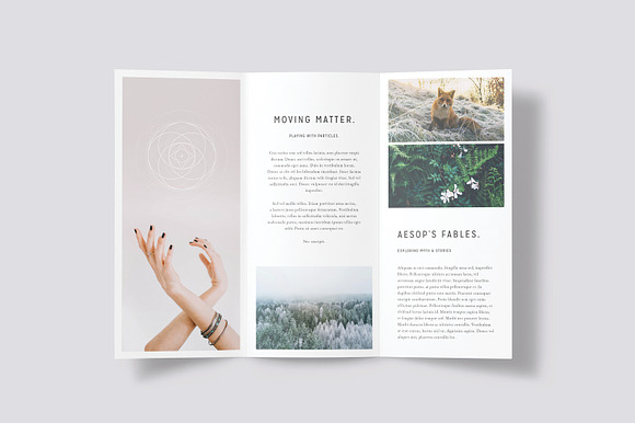 LUMINA Trifold Brochure in Brochure Templates - product preview 3