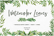 Watercolor Leaf Collection