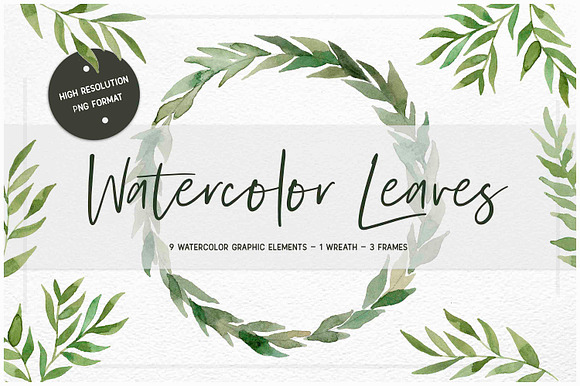 Watercolor Leaf Collection in Illustrations - product preview 1