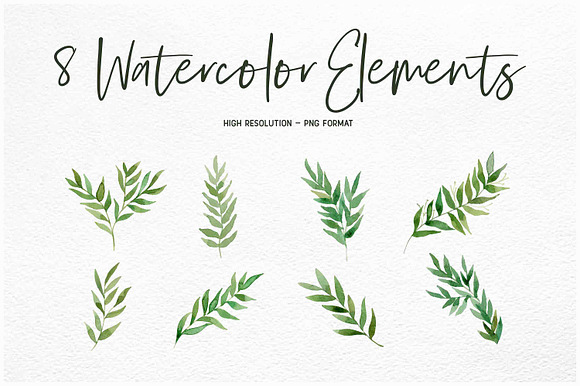 Watercolor Leaf Collection in Illustrations - product preview 3
