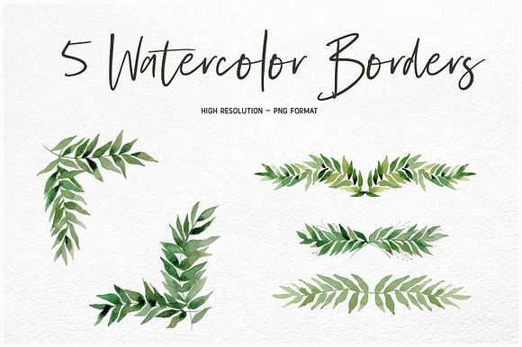 Watercolor Leaf Collection in Illustrations - product preview 5