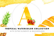 Tropical Watercolor Collection