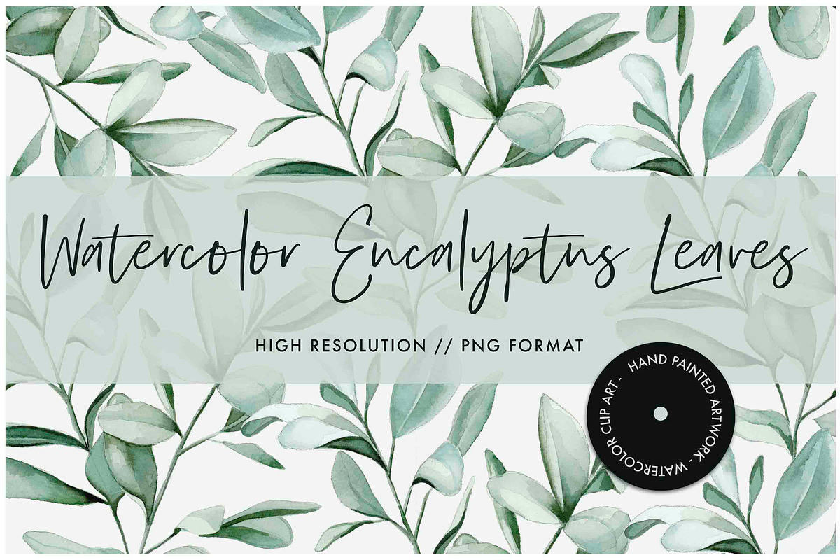 Watercolor Eucalyptus Leaves in Illustrations - product preview 8
