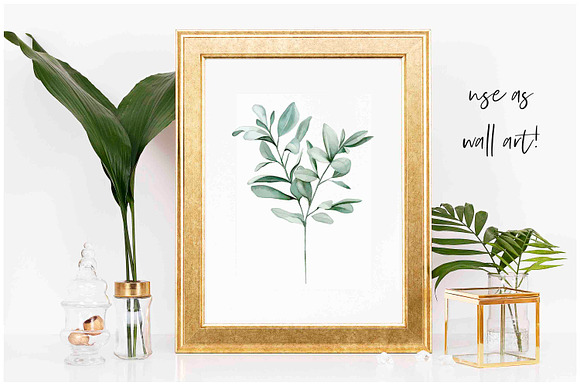 Watercolor Eucalyptus Leaves in Illustrations - product preview 3