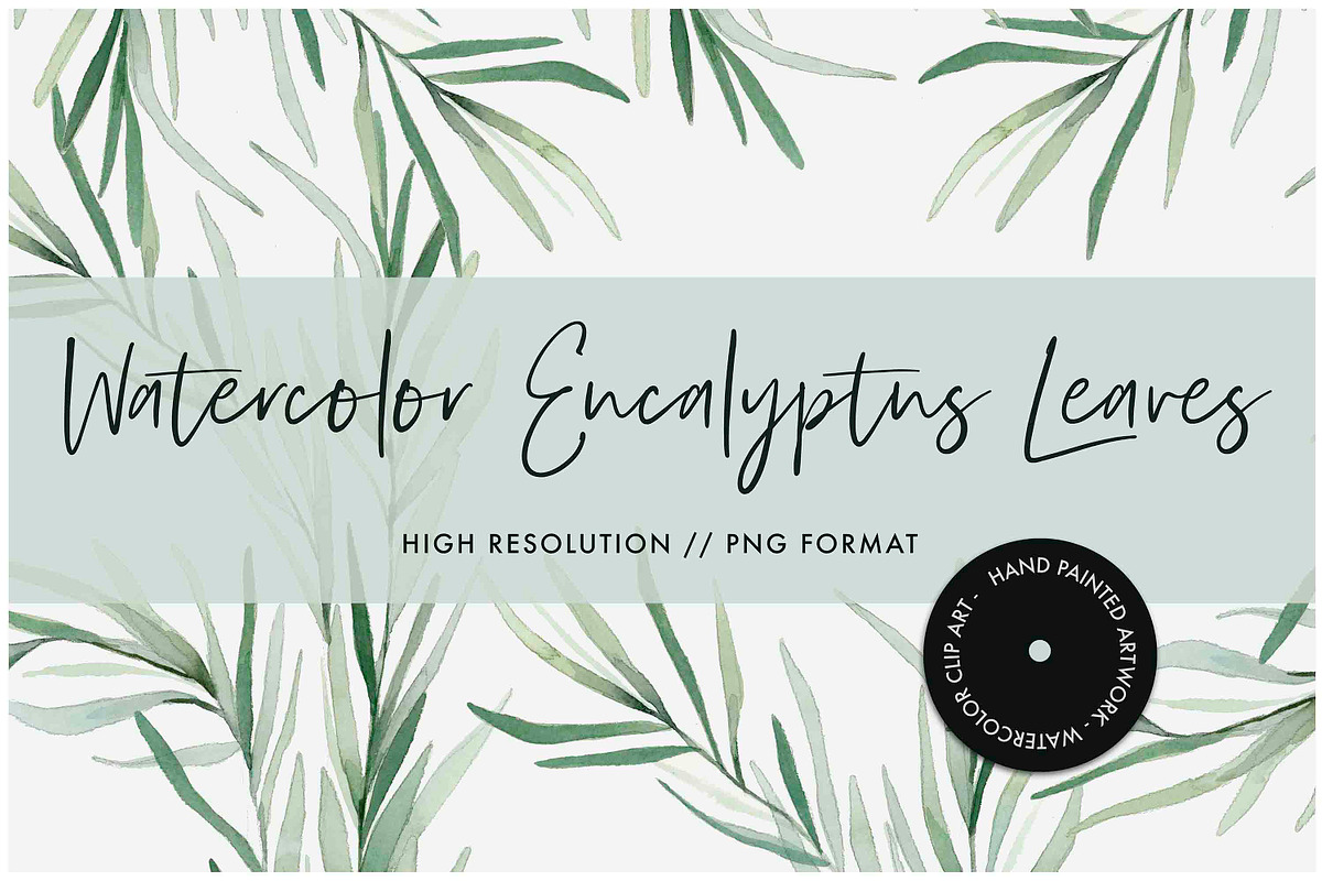 Watercolor Willow Eucalyptus Leaves in Illustrations - product preview 8