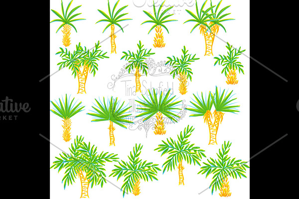 Downloadable Palm Tree Illustrations