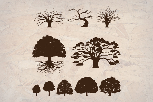 Oak Tree Silhouette Illustration in Illustrations - product preview 2