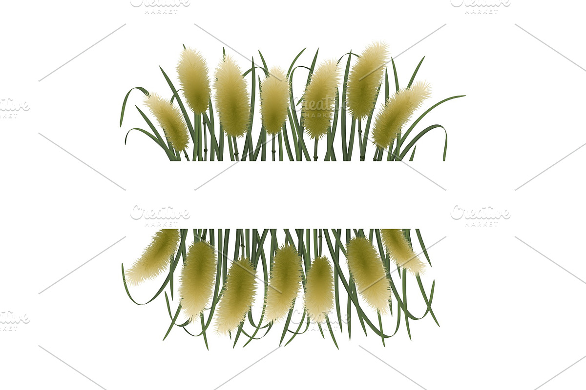 Template with Miscanthus in Illustrations - product preview 8