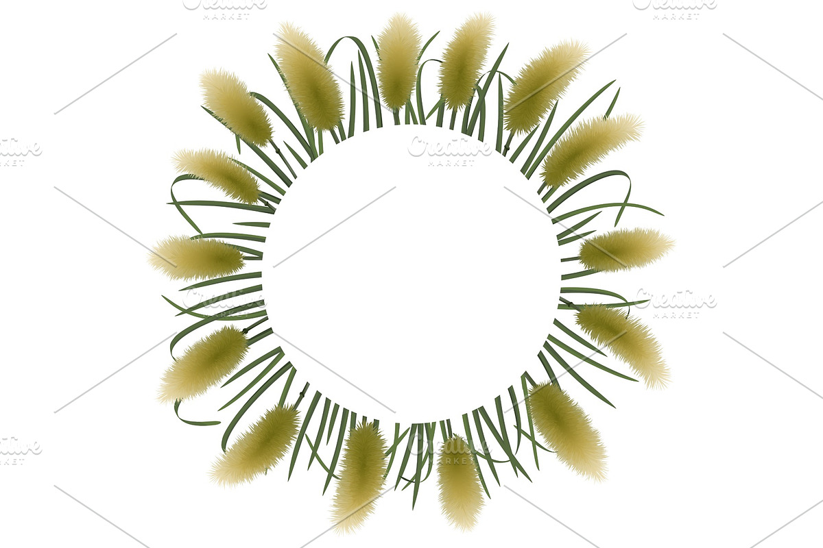 Round Template with Miscanthus in Illustrations - product preview 8