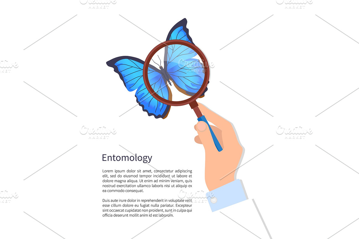 Entomology Butterfly Poster Vector in Illustrations - product preview 8