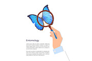 Entomology Butterfly Poster Vector